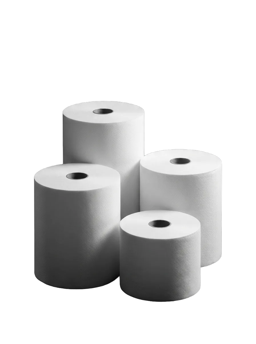 Rotoli di carta professionale